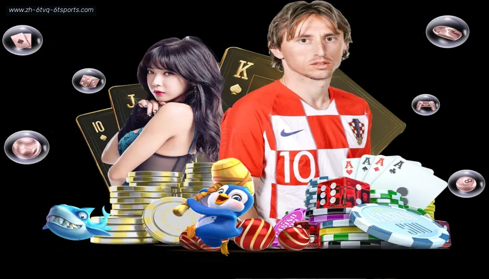 6T体育 banner