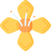 6T体育 logo