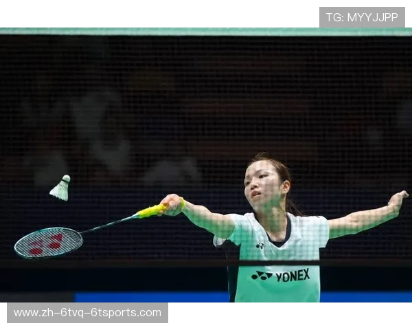 羽毛球无弹跳 羽毛球无弹跳