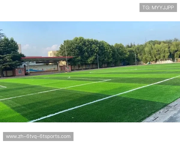 足球草皮维护频率是否对比赛中草坪弹性与球速稳定性起到重要影响