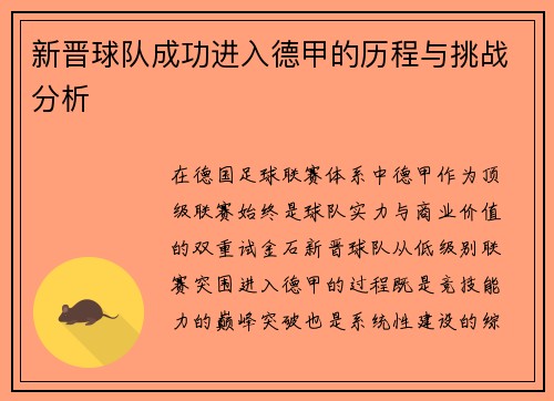 新晋球队成功进入德甲的历程与挑战分析