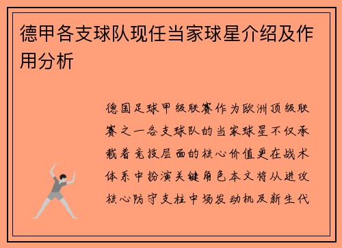 德甲各支球队现任当家球星介绍及作用分析